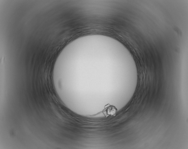 X0000112470316200908170956