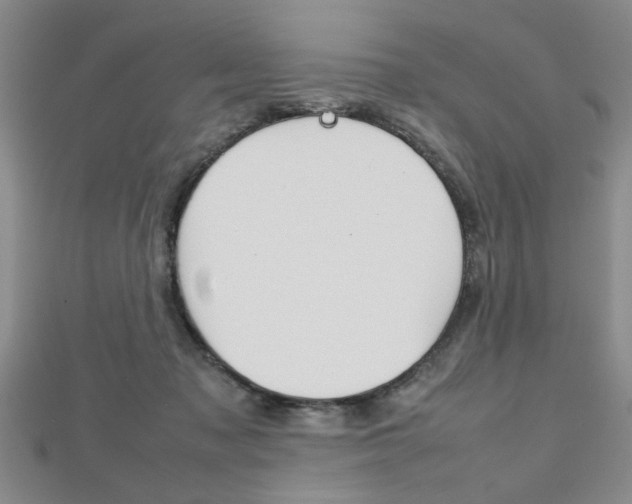 X0000112470317200908170956