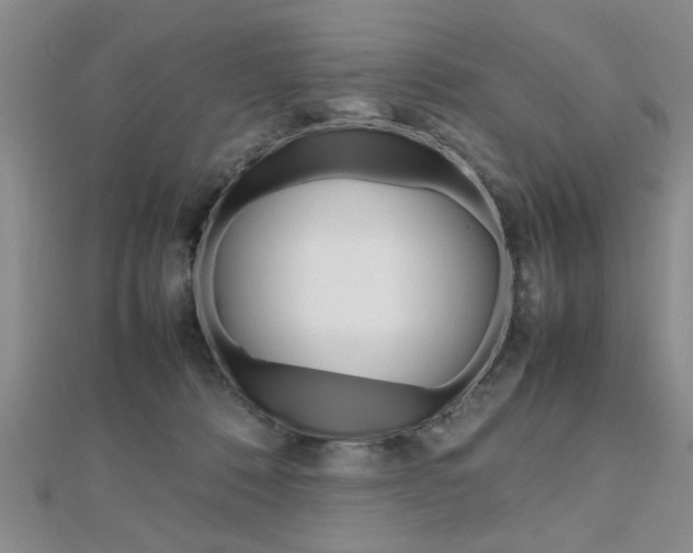 X0000112470320200908170956