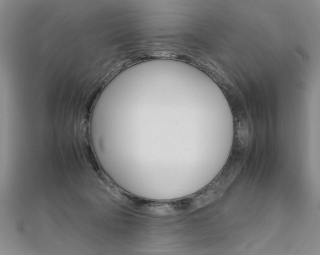 X0000112470322200908170956