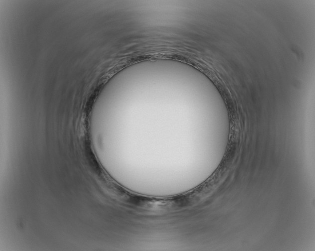 X0000112470323200908170956