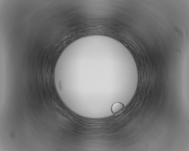 X0000112470324200908170956