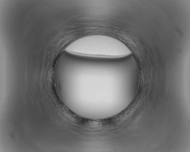 X0000112470325200908170956