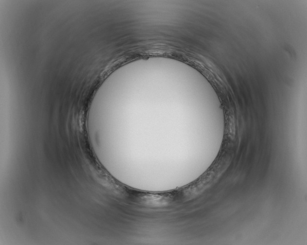 X0000112470326200908170956