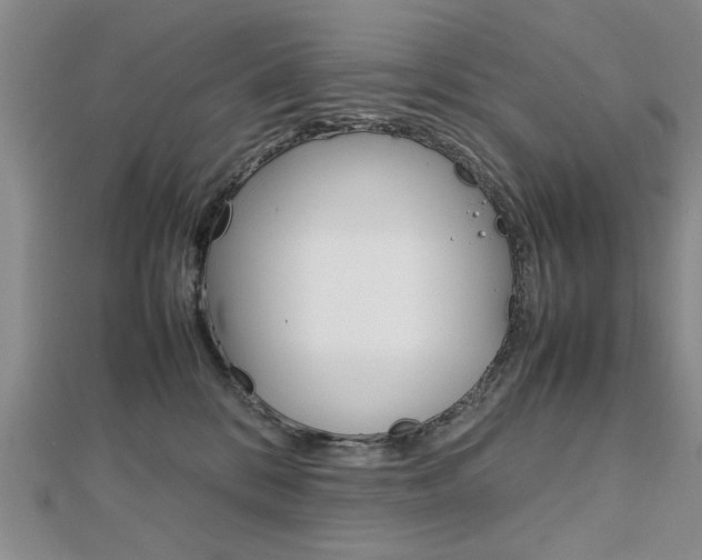 X0000112470328200908170956
