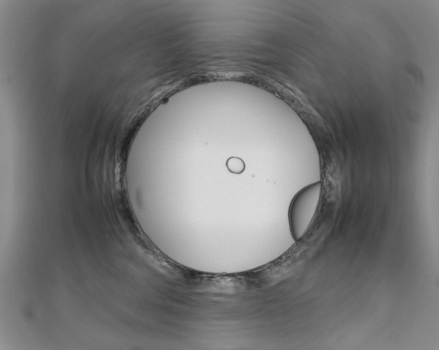 X0000112470330200908170956