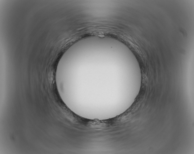 X0000112470331200908170956