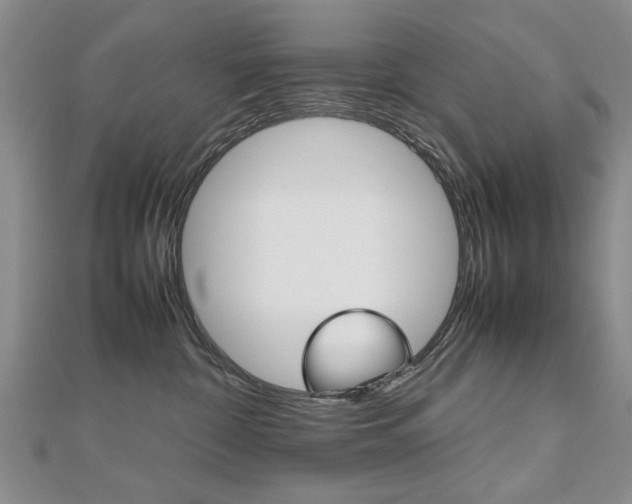X0000112470332200908170956