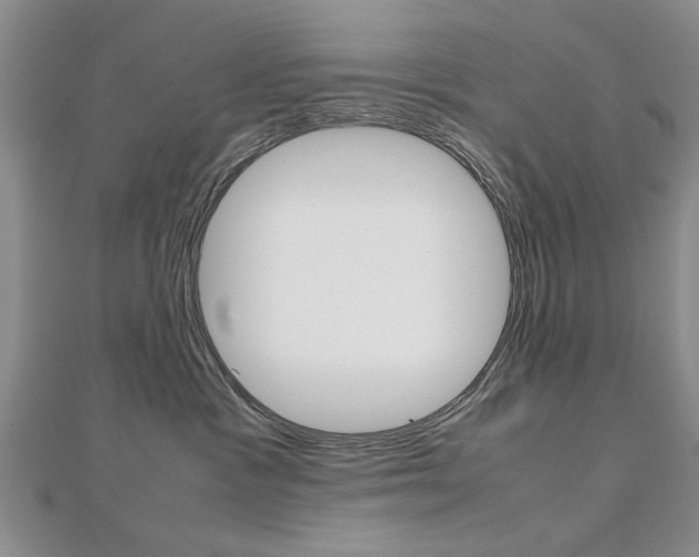 X0000112470333200908170956