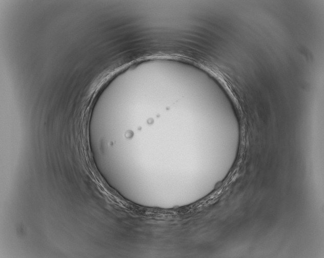 X0000112470337200908170955