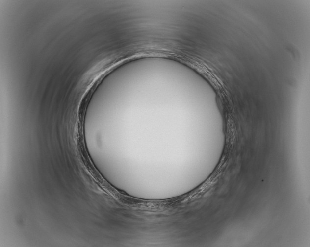 X0000112470338200908170955