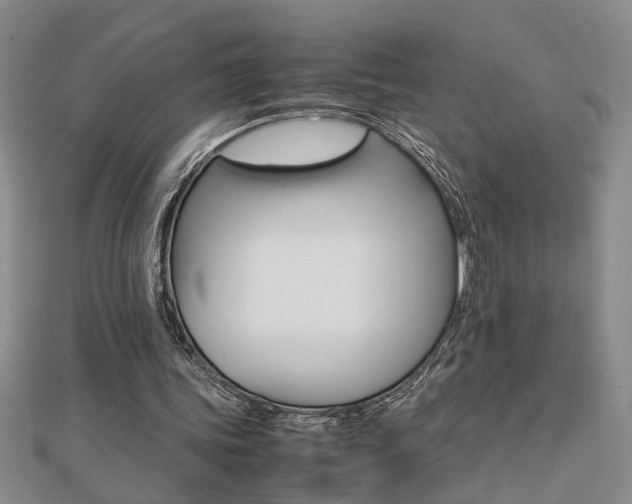 X0000112470339200908170955