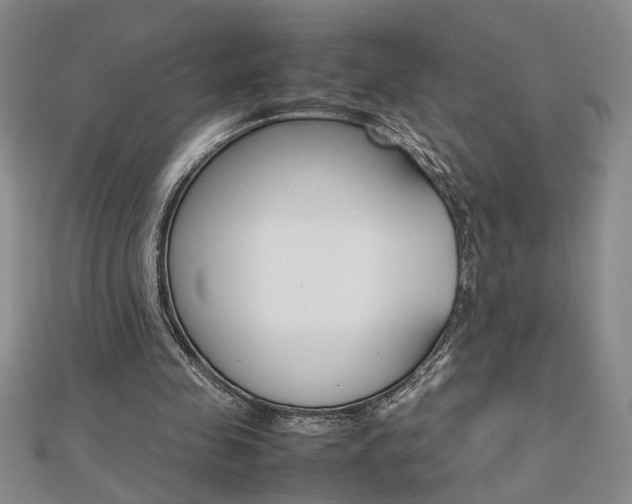 X0000112470341200908170955