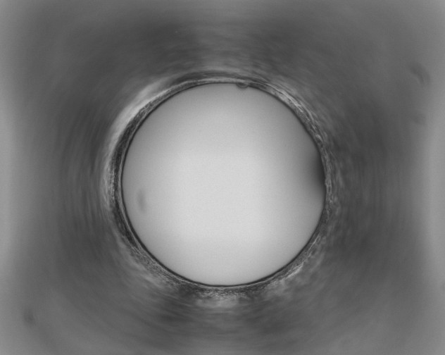 X0000112470343200908170955