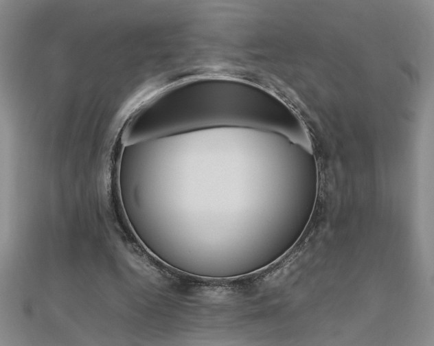 X0000112470344200908170955