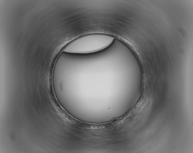 X0000112470345200908170955