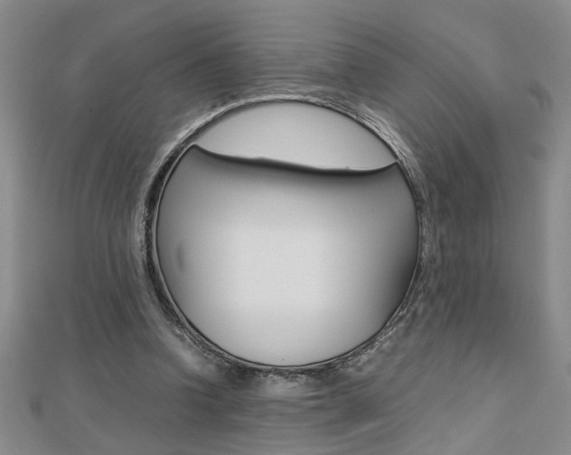 X0000112470346200908170955