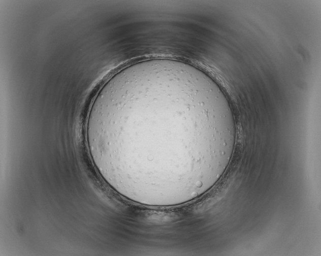 X0000112470347200908170955