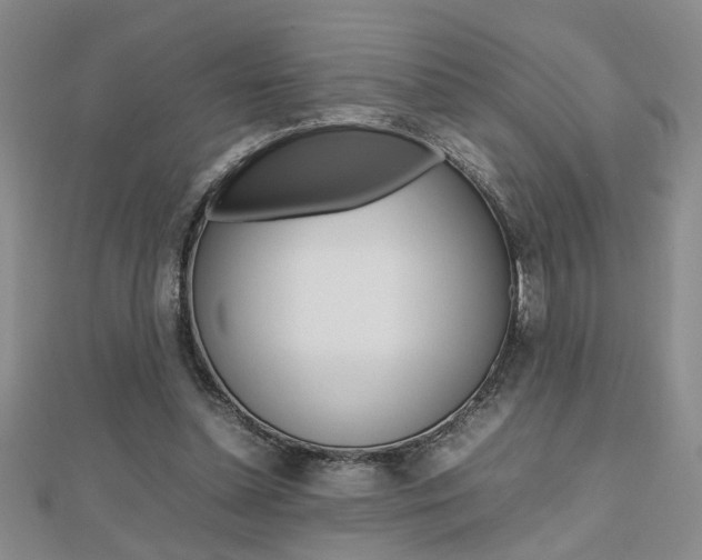 X0000112470348200908170955