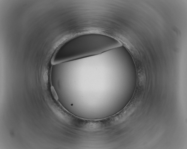 X0000112470350200908170955