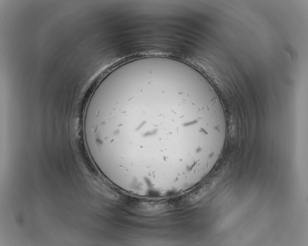 X0000112470351200908170955