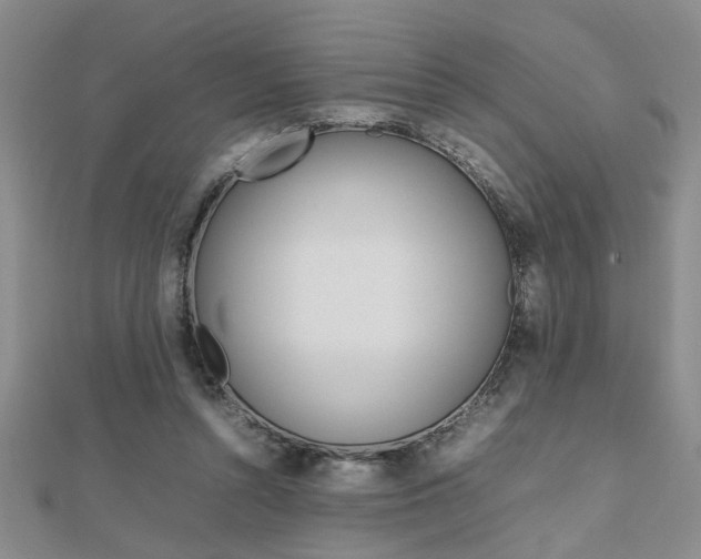 X0000112470352200908170955