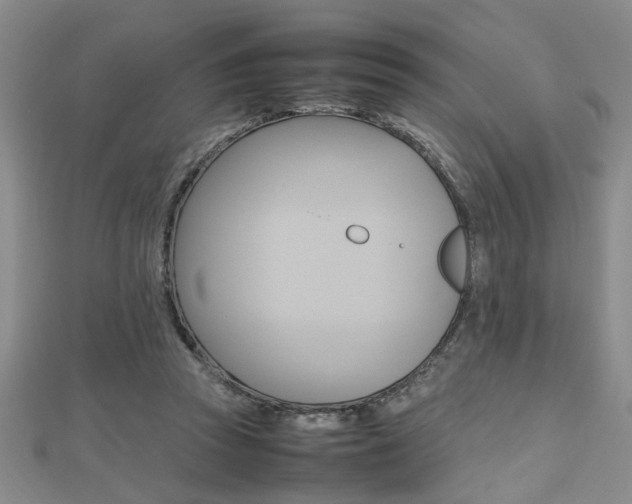 X0000112470353200908170955