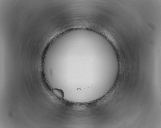 X0000112470354200908170955