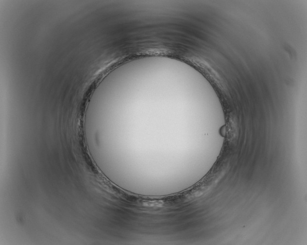 X0000112470355200908170955