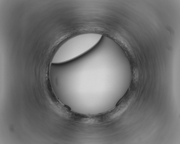 X0000112470356200908170955