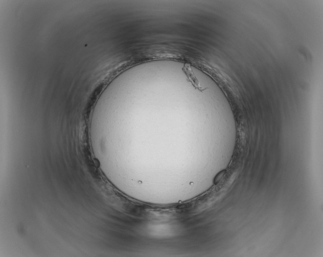 X0000112470359200908170955