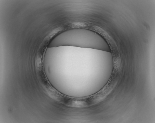 X0000112470360200908170956