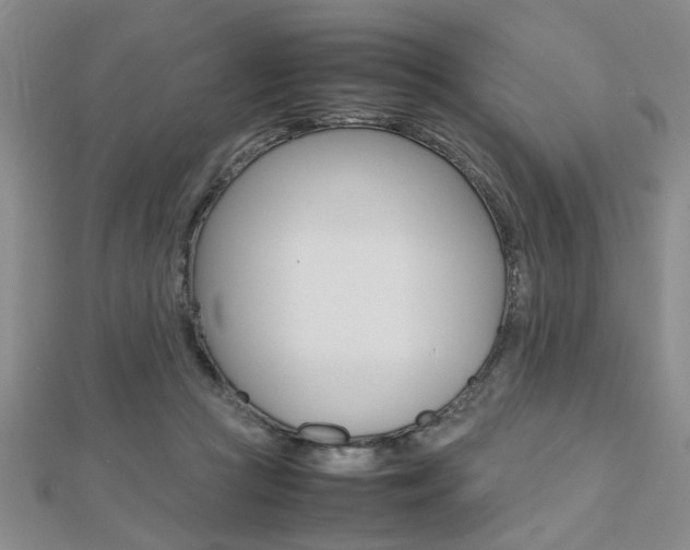 X0000112470361200908170956