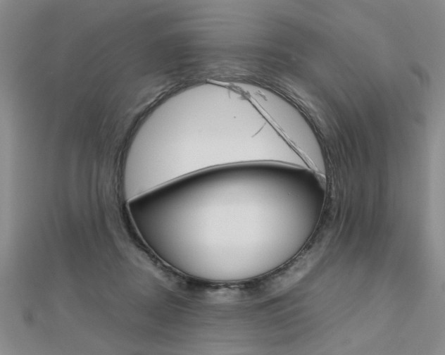 X0000112470362200908170956