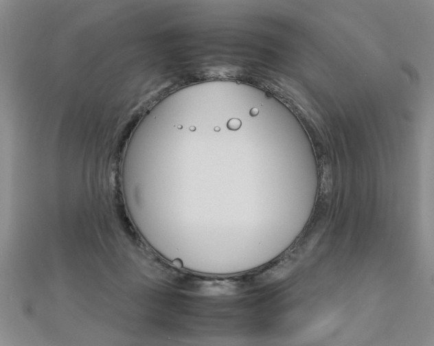 X0000112470363200908170956