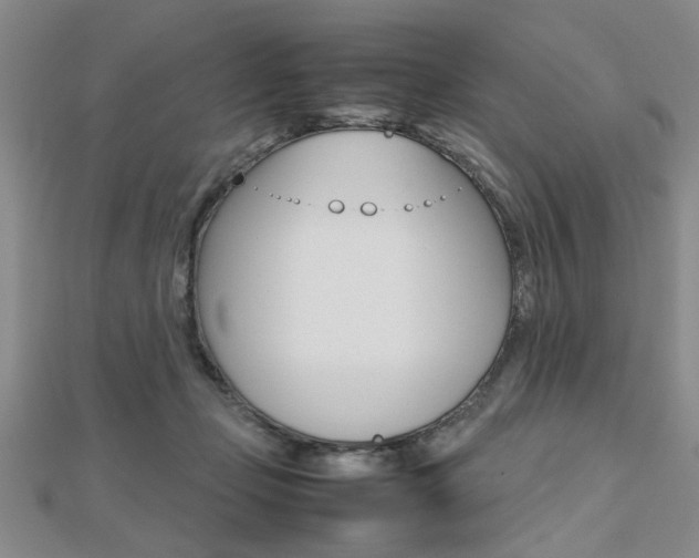 X0000112470365200908170956