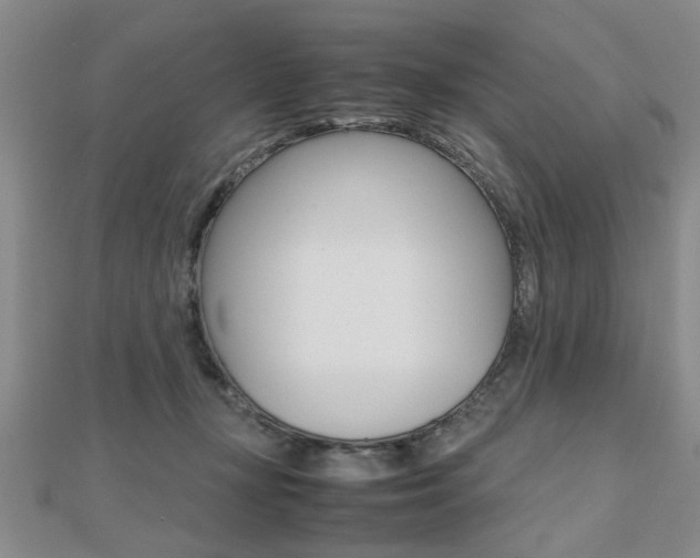 X0000112470367200908170956