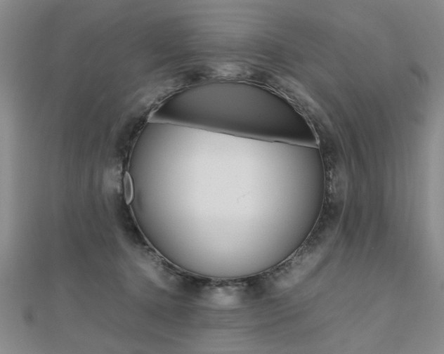 X0000112470368200908170956