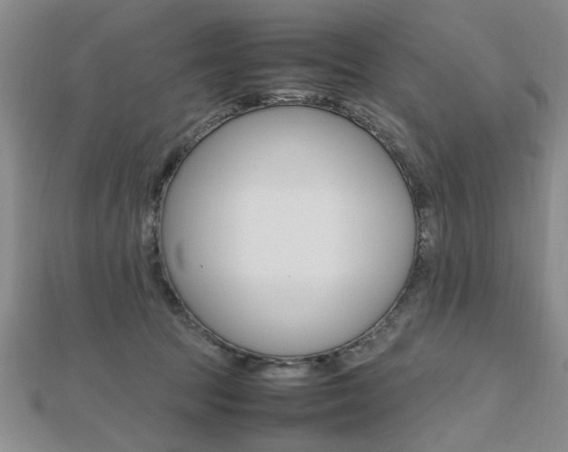 X0000112470369200908170956