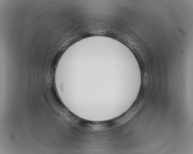 X0000112470370200908170956