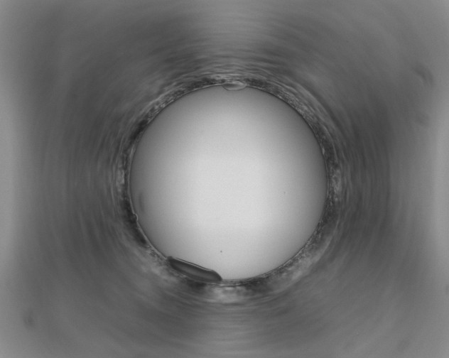 X0000112470372200908170956