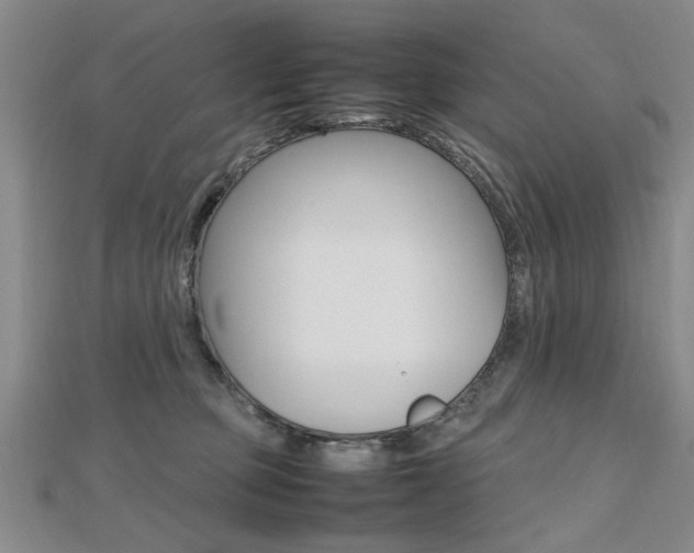 X0000112470373200908170956