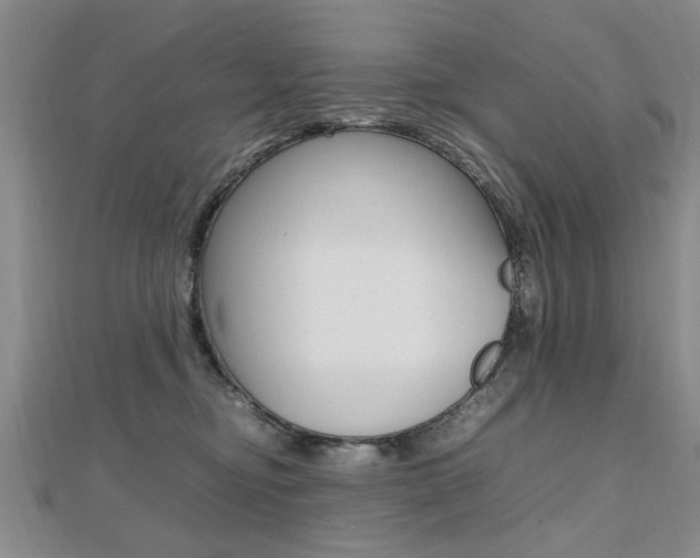 X0000112470374200908170956