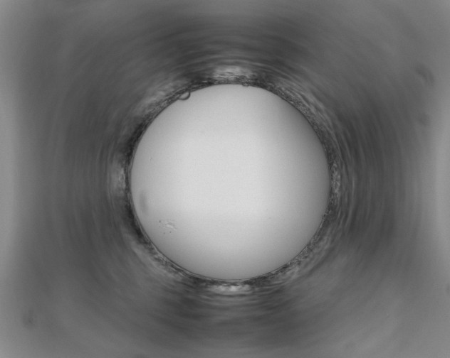 X0000112470375200908170956