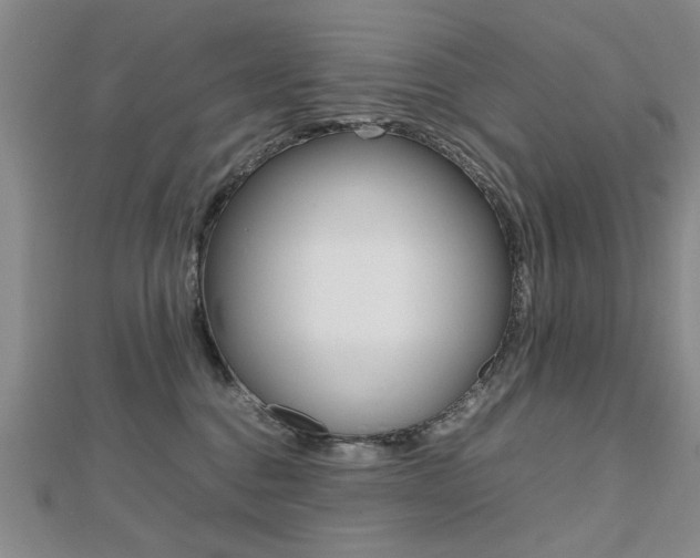 X0000112470376200908170956