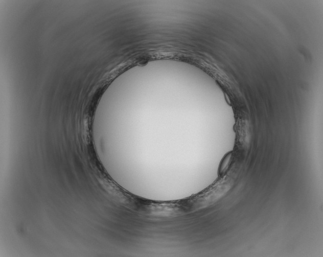 X0000112470378200908170956