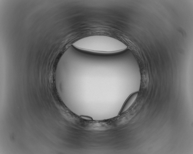 X0000112470379200908170956