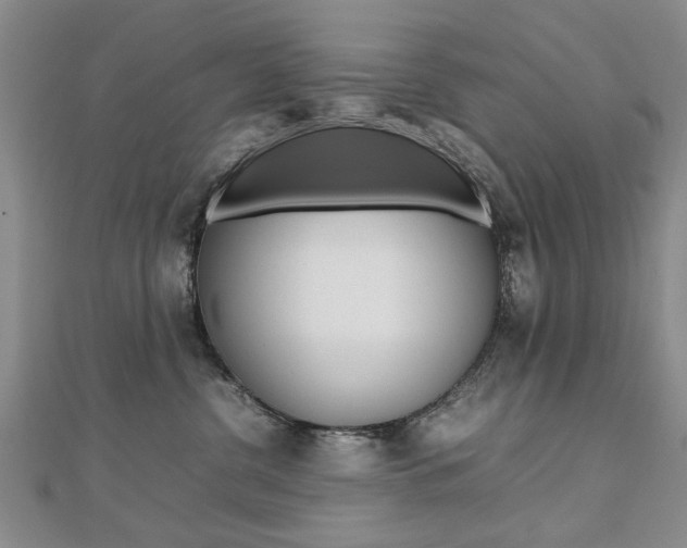 X0000112470380200908170956