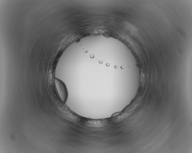 X0000112470381200908170956