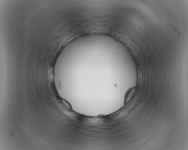 X0000112470383200908170956